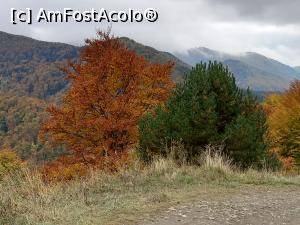 [P24] Culorile toamnei in Groapa cu Pini » foto by Mika
 - 
<span class="allrVoted glyphicon glyphicon-heart hidden" id="av1263115"></span>
<a class="m-l-10 hidden" id="sv1263115" onclick="voting_Foto_DelVot(,1263115,13521)" role="button">șterge vot <span class="glyphicon glyphicon-remove"></span></a>
<a id="v91263115" class=" c-red"  onclick="voting_Foto_SetVot(1263115)" role="button"><span class="glyphicon glyphicon-heart-empty"></span> <b>LIKE</b> = Votează poza</a> <img class="hidden"  id="f1263115W9" src="/imagini/loader.gif" border="0" /><span class="AjErrMes hidden" id="e1263115ErM"></span>