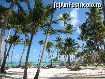 [P02]  -- <small>// FĂRĂ DESCRIERE</small> » foto by antwerp
 - 
<span class="allrVoted glyphicon glyphicon-heart hidden" id="av396725"></span>
<a class="m-l-10 hidden" id="sv396725" onclick="voting_Foto_DelVot(,396725,13523)" role="button">șterge vot <span class="glyphicon glyphicon-remove"></span></a>
<a id="v9396725" class=" c-red"  onclick="voting_Foto_SetVot(396725)" role="button"><span class="glyphicon glyphicon-heart-empty"></span> <b>LIKE</b> = Votează poza</a> <img class="hidden"  id="f396725W9" src="/imagini/loader.gif" border="0" /><span class="AjErrMes hidden" id="e396725ErM"></span>