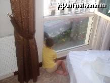 [P23] englezii practica privitul pasarilor-noi pe-al masinilor
se observa patul suplimentar in camera » foto by marocanu21
 - 
<span class="allrVoted glyphicon glyphicon-heart hidden" id="av398391"></span>
<a class="m-l-10 hidden" id="sv398391" onclick="voting_Foto_DelVot(,398391,13560)" role="button">șterge vot <span class="glyphicon glyphicon-remove"></span></a>
<a id="v9398391" class=" c-red"  onclick="voting_Foto_SetVot(398391)" role="button"><span class="glyphicon glyphicon-heart-empty"></span> <b>LIKE</b> = Votează poza</a> <img class="hidden"  id="f398391W9" src="/imagini/loader.gif" border="0" /><span class="AjErrMes hidden" id="e398391ErM"></span>