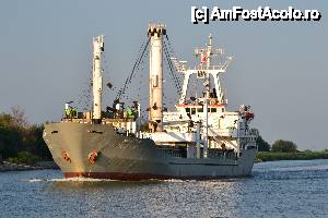 [P12]  -- <small>// FĂRĂ DESCRIERE</small> » foto by sosso
 - 
<span class="allrVoted glyphicon glyphicon-heart hidden" id="av401069"></span>
<a class="m-l-10 hidden" id="sv401069" onclick="voting_Foto_DelVot(,401069,13633)" role="button">șterge vot <span class="glyphicon glyphicon-remove"></span></a>
<a id="v9401069" class=" c-red"  onclick="voting_Foto_SetVot(401069)" role="button"><span class="glyphicon glyphicon-heart-empty"></span> <b>LIKE</b> = Votează poza</a> <img class="hidden"  id="f401069W9" src="/imagini/loader.gif" border="0" /><span class="AjErrMes hidden" id="e401069ErM"></span>