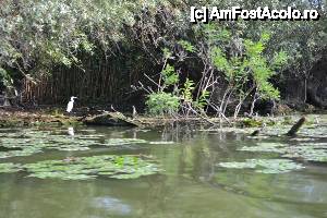 [P16]  -- <small>// FĂRĂ DESCRIERE</small> » foto by sosso
 - 
<span class="allrVoted glyphicon glyphicon-heart hidden" id="av401073"></span>
<a class="m-l-10 hidden" id="sv401073" onclick="voting_Foto_DelVot(,401073,13633)" role="button">șterge vot <span class="glyphicon glyphicon-remove"></span></a>
<a id="v9401073" class=" c-red"  onclick="voting_Foto_SetVot(401073)" role="button"><span class="glyphicon glyphicon-heart-empty"></span> <b>LIKE</b> = Votează poza</a> <img class="hidden"  id="f401073W9" src="/imagini/loader.gif" border="0" /><span class="AjErrMes hidden" id="e401073ErM"></span>