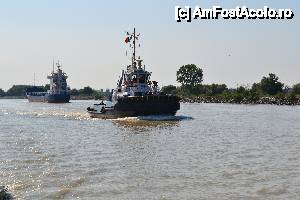 [P09]  -- <small>// FĂRĂ DESCRIERE</small> » foto by sosso
 - 
<span class="allrVoted glyphicon glyphicon-heart hidden" id="av401066"></span>
<a class="m-l-10 hidden" id="sv401066" onclick="voting_Foto_DelVot(,401066,13633)" role="button">șterge vot <span class="glyphicon glyphicon-remove"></span></a>
<a id="v9401066" class=" c-red"  onclick="voting_Foto_SetVot(401066)" role="button"><span class="glyphicon glyphicon-heart-empty"></span> <b>LIKE</b> = Votează poza</a> <img class="hidden"  id="f401066W9" src="/imagini/loader.gif" border="0" /><span class="AjErrMes hidden" id="e401066ErM"></span>