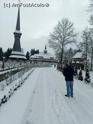 [P22]  -- <small>// FĂRĂ DESCRIERE</small> » foto by gianimary
 - 
<span class="allrVoted glyphicon glyphicon-heart hidden" id="av1276819"></span>
<a class="m-l-10 hidden" id="sv1276819" onclick="voting_Foto_DelVot(,1276819,13707)" role="button">șterge vot <span class="glyphicon glyphicon-remove"></span></a>
<a id="v91276819" class=" c-red"  onclick="voting_Foto_SetVot(1276819)" role="button"><span class="glyphicon glyphicon-heart-empty"></span> <b>LIKE</b> = Votează poza</a> <img class="hidden"  id="f1276819W9" src="/imagini/loader.gif" border="0" /><span class="AjErrMes hidden" id="e1276819ErM"></span>