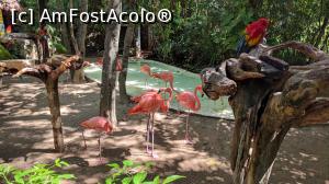 [P19] xcaret » foto by ascarlat
 - 
<span class="allrVoted glyphicon glyphicon-heart hidden" id="av935670"></span>
<a class="m-l-10 hidden" id="sv935670" onclick="voting_Foto_DelVot(,935670,13712)" role="button">șterge vot <span class="glyphicon glyphicon-remove"></span></a>
<a id="v9935670" class=" c-red"  onclick="voting_Foto_SetVot(935670)" role="button"><span class="glyphicon glyphicon-heart-empty"></span> <b>LIKE</b> = Votează poza</a> <img class="hidden"  id="f935670W9" src="/imagini/loader.gif" border="0" /><span class="AjErrMes hidden" id="e935670ErM"></span>