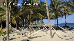[P22] xcaret » foto by ascarlat
 - 
<span class="allrVoted glyphicon glyphicon-heart hidden" id="av935673"></span>
<a class="m-l-10 hidden" id="sv935673" onclick="voting_Foto_DelVot(,935673,13712)" role="button">șterge vot <span class="glyphicon glyphicon-remove"></span></a>
<a id="v9935673" class=" c-red"  onclick="voting_Foto_SetVot(935673)" role="button"><span class="glyphicon glyphicon-heart-empty"></span> <b>LIKE</b> = Votează poza</a> <img class="hidden"  id="f935673W9" src="/imagini/loader.gif" border="0" /><span class="AjErrMes hidden" id="e935673ErM"></span>