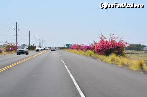 [P11] Highhway 19 in Big Island » foto by Patri
 - 
<span class="allrVoted glyphicon glyphicon-heart hidden" id="av406314"></span>
<a class="m-l-10 hidden" id="sv406314" onclick="voting_Foto_DelVot(,406314,13732)" role="button">șterge vot <span class="glyphicon glyphicon-remove"></span></a>
<a id="v9406314" class=" c-red"  onclick="voting_Foto_SetVot(406314)" role="button"><span class="glyphicon glyphicon-heart-empty"></span> <b>LIKE</b> = Votează poza</a> <img class="hidden"  id="f406314W9" src="/imagini/loader.gif" border="0" /><span class="AjErrMes hidden" id="e406314ErM"></span>