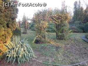 [P03] Iași - Grădina Botanică "Anastasie Fătu". Aranjamente exterioare. » foto by iulianic
 - 
<span class="allrVoted glyphicon glyphicon-heart hidden" id="av1349083"></span>
<a class="m-l-10 hidden" id="sv1349083" onclick="voting_Foto_DelVot(,1349083,13735)" role="button">șterge vot <span class="glyphicon glyphicon-remove"></span></a>
<a id="v91349083" class=" c-red"  onclick="voting_Foto_SetVot(1349083)" role="button"><span class="glyphicon glyphicon-heart-empty"></span> <b>LIKE</b> = Votează poza</a> <img class="hidden"  id="f1349083W9" src="/imagini/loader.gif" border="0" /><span class="AjErrMes hidden" id="e1349083ErM"></span>