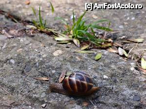 [P14] m-am ratacit putin » foto by clau.nov
 - 
<span class="allrVoted glyphicon glyphicon-heart hidden" id="av432146"></span>
<a class="m-l-10 hidden" id="sv432146" onclick="voting_Foto_DelVot(,432146,13735)" role="button">șterge vot <span class="glyphicon glyphicon-remove"></span></a>
<a id="v9432146" class=" c-red"  onclick="voting_Foto_SetVot(432146)" role="button"><span class="glyphicon glyphicon-heart-empty"></span> <b>LIKE</b> = Votează poza</a> <img class="hidden"  id="f432146W9" src="/imagini/loader.gif" border="0" /><span class="AjErrMes hidden" id="e432146ErM"></span>