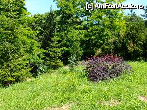 [P17] oare cate nuante de verde iti poate oferi natura?!  » foto by clau.nov
 - 
<span class="allrVoted glyphicon glyphicon-heart hidden" id="av432154"></span>
<a class="m-l-10 hidden" id="sv432154" onclick="voting_Foto_DelVot(,432154,13735)" role="button">șterge vot <span class="glyphicon glyphicon-remove"></span></a>
<a id="v9432154" class=" c-red"  onclick="voting_Foto_SetVot(432154)" role="button"><span class="glyphicon glyphicon-heart-empty"></span> <b>LIKE</b> = Votează poza</a> <img class="hidden"  id="f432154W9" src="/imagini/loader.gif" border="0" /><span class="AjErrMes hidden" id="e432154ErM"></span>