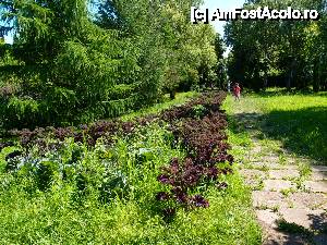 [P19] de-a v-ati ascunselea... unii » foto by clau.nov
 - 
<span class="allrVoted glyphicon glyphicon-heart hidden" id="av432158"></span>
<a class="m-l-10 hidden" id="sv432158" onclick="voting_Foto_DelVot(,432158,13735)" role="button">șterge vot <span class="glyphicon glyphicon-remove"></span></a>
<a id="v9432158" class=" c-red"  onclick="voting_Foto_SetVot(432158)" role="button"><span class="glyphicon glyphicon-heart-empty"></span> <b>LIKE</b> = Votează poza</a> <img class="hidden"  id="f432158W9" src="/imagini/loader.gif" border="0" /><span class="AjErrMes hidden" id="e432158ErM"></span>