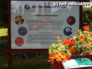 [P02] prezentarea uneia din sectiile Gradinii » foto by clau.nov
 - 
<span class="allrVoted glyphicon glyphicon-heart hidden" id="av432120"></span>
<a class="m-l-10 hidden" id="sv432120" onclick="voting_Foto_DelVot(,432120,13735)" role="button">șterge vot <span class="glyphicon glyphicon-remove"></span></a>
<a id="v9432120" class=" c-red"  onclick="voting_Foto_SetVot(432120)" role="button"><span class="glyphicon glyphicon-heart-empty"></span> <b>LIKE</b> = Votează poza</a> <img class="hidden"  id="f432120W9" src="/imagini/loader.gif" border="0" /><span class="AjErrMes hidden" id="e432120ErM"></span>