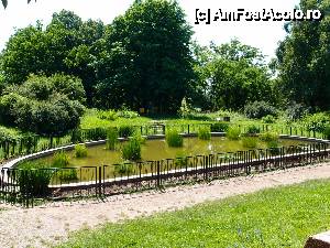 [P21] un mic iaz... dar ce dragut » foto by clau.nov
 - 
<span class="allrVoted glyphicon glyphicon-heart hidden" id="av432161"></span>
<a class="m-l-10 hidden" id="sv432161" onclick="voting_Foto_DelVot(,432161,13735)" role="button">șterge vot <span class="glyphicon glyphicon-remove"></span></a>
<a id="v9432161" class=" c-red"  onclick="voting_Foto_SetVot(432161)" role="button"><span class="glyphicon glyphicon-heart-empty"></span> <b>LIKE</b> = Votează poza</a> <img class="hidden"  id="f432161W9" src="/imagini/loader.gif" border="0" /><span class="AjErrMes hidden" id="e432161ErM"></span>