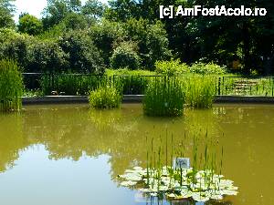 [P22] splendoare...  » foto by clau.nov
 - 
<span class="allrVoted glyphicon glyphicon-heart hidden" id="av432165"></span>
<a class="m-l-10 hidden" id="sv432165" onclick="voting_Foto_DelVot(,432165,13735)" role="button">șterge vot <span class="glyphicon glyphicon-remove"></span></a>
<a id="v9432165" class=" c-red"  onclick="voting_Foto_SetVot(432165)" role="button"><span class="glyphicon glyphicon-heart-empty"></span> <b>LIKE</b> = Votează poza</a> <img class="hidden"  id="f432165W9" src="/imagini/loader.gif" border="0" /><span class="AjErrMes hidden" id="e432165ErM"></span>