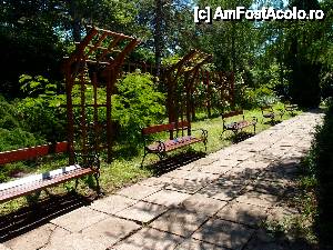 [P24] va asteapta... sa ascultati trilurile pasarelelor » foto by clau.nov
 - 
<span class="allrVoted glyphicon glyphicon-heart hidden" id="av432170"></span>
<a class="m-l-10 hidden" id="sv432170" onclick="voting_Foto_DelVot(,432170,13735)" role="button">șterge vot <span class="glyphicon glyphicon-remove"></span></a>
<a id="v9432170" class=" c-red"  onclick="voting_Foto_SetVot(432170)" role="button"><span class="glyphicon glyphicon-heart-empty"></span> <b>LIKE</b> = Votează poza</a> <img class="hidden"  id="f432170W9" src="/imagini/loader.gif" border="0" /><span class="AjErrMes hidden" id="e432170ErM"></span>