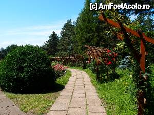 [P25] de aici incepe incantarea tuturor simturilor... mai ales cele olfactive » foto by clau.nov
 - 
<span class="allrVoted glyphicon glyphicon-heart hidden" id="av432173"></span>
<a class="m-l-10 hidden" id="sv432173" onclick="voting_Foto_DelVot(,432173,13735)" role="button">șterge vot <span class="glyphicon glyphicon-remove"></span></a>
<a id="v9432173" class=" c-red"  onclick="voting_Foto_SetVot(432173)" role="button"><span class="glyphicon glyphicon-heart-empty"></span> <b>LIKE</b> = Votează poza</a> <img class="hidden"  id="f432173W9" src="/imagini/loader.gif" border="0" /><span class="AjErrMes hidden" id="e432173ErM"></span>