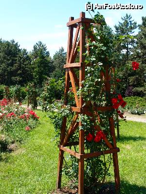 [P27] un alt aranjament... denota ingrijire si preocupare » foto by clau.nov
 - 
<span class="allrVoted glyphicon glyphicon-heart hidden" id="av432179"></span>
<a class="m-l-10 hidden" id="sv432179" onclick="voting_Foto_DelVot(,432179,13735)" role="button">șterge vot <span class="glyphicon glyphicon-remove"></span></a>
<a id="v9432179" class=" c-red"  onclick="voting_Foto_SetVot(432179)" role="button"><span class="glyphicon glyphicon-heart-empty"></span> <b>LIKE</b> = Votează poza</a> <img class="hidden"  id="f432179W9" src="/imagini/loader.gif" border="0" /><span class="AjErrMes hidden" id="e432179ErM"></span>