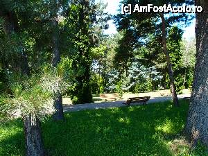 [P28] din nou la relaxare, pentru a te incanta un alt ciripit...  » foto by clau.nov
 - 
<span class="allrVoted glyphicon glyphicon-heart hidden" id="av432184"></span>
<a class="m-l-10 hidden" id="sv432184" onclick="voting_Foto_DelVot(,432184,13735)" role="button">șterge vot <span class="glyphicon glyphicon-remove"></span></a>
<a id="v9432184" class=" c-red"  onclick="voting_Foto_SetVot(432184)" role="button"><span class="glyphicon glyphicon-heart-empty"></span> <b>LIKE</b> = Votează poza</a> <img class="hidden"  id="f432184W9" src="/imagini/loader.gif" border="0" /><span class="AjErrMes hidden" id="e432184ErM"></span>