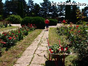 [P29] colorit si frumusete » foto by clau.nov
 - 
<span class="allrVoted glyphicon glyphicon-heart hidden" id="av432188"></span>
<a class="m-l-10 hidden" id="sv432188" onclick="voting_Foto_DelVot(,432188,13735)" role="button">șterge vot <span class="glyphicon glyphicon-remove"></span></a>
<a id="v9432188" class=" c-red"  onclick="voting_Foto_SetVot(432188)" role="button"><span class="glyphicon glyphicon-heart-empty"></span> <b>LIKE</b> = Votează poza</a> <img class="hidden"  id="f432188W9" src="/imagini/loader.gif" border="0" /><span class="AjErrMes hidden" id="e432188ErM"></span>