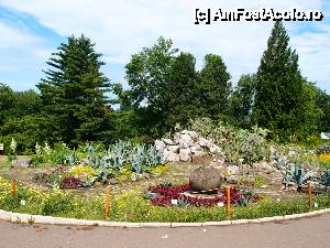 [P03] coltisor de Eden » foto by clau.nov
 - 
<span class="allrVoted glyphicon glyphicon-heart hidden" id="av432122"></span>
<a class="m-l-10 hidden" id="sv432122" onclick="voting_Foto_DelVot(,432122,13735)" role="button">șterge vot <span class="glyphicon glyphicon-remove"></span></a>
<a id="v9432122" class=" c-red"  onclick="voting_Foto_SetVot(432122)" role="button"><span class="glyphicon glyphicon-heart-empty"></span> <b>LIKE</b> = Votează poza</a> <img class="hidden"  id="f432122W9" src="/imagini/loader.gif" border="0" /><span class="AjErrMes hidden" id="e432122ErM"></span>