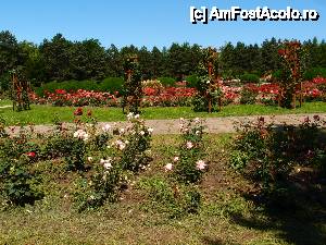 [P31] simfonie de culori...  » foto by clau.nov
 - 
<span class="allrVoted glyphicon glyphicon-heart hidden" id="av432194"></span>
<a class="m-l-10 hidden" id="sv432194" onclick="voting_Foto_DelVot(,432194,13735)" role="button">șterge vot <span class="glyphicon glyphicon-remove"></span></a>
<a id="v9432194" class=" c-red"  onclick="voting_Foto_SetVot(432194)" role="button"><span class="glyphicon glyphicon-heart-empty"></span> <b>LIKE</b> = Votează poza</a> <img class="hidden"  id="f432194W9" src="/imagini/loader.gif" border="0" /><span class="AjErrMes hidden" id="e432194ErM"></span>