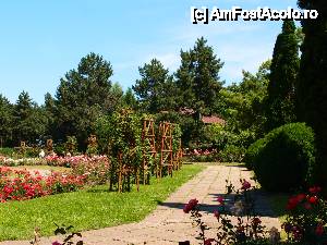 [P32] o alta arie... din alta simfonie » foto by clau.nov
 - 
<span class="allrVoted glyphicon glyphicon-heart hidden" id="av432196"></span>
<a class="m-l-10 hidden" id="sv432196" onclick="voting_Foto_DelVot(,432196,13735)" role="button">șterge vot <span class="glyphicon glyphicon-remove"></span></a>
<a id="v9432196" class=" c-red"  onclick="voting_Foto_SetVot(432196)" role="button"><span class="glyphicon glyphicon-heart-empty"></span> <b>LIKE</b> = Votează poza</a> <img class="hidden"  id="f432196W9" src="/imagini/loader.gif" border="0" /><span class="AjErrMes hidden" id="e432196ErM"></span>