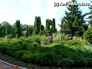 [P04] natura verde » foto by clau.nov
 - 
<span class="allrVoted glyphicon glyphicon-heart hidden" id="av432123"></span>
<a class="m-l-10 hidden" id="sv432123" onclick="voting_Foto_DelVot(,432123,13735)" role="button">șterge vot <span class="glyphicon glyphicon-remove"></span></a>
<a id="v9432123" class=" c-red"  onclick="voting_Foto_SetVot(432123)" role="button"><span class="glyphicon glyphicon-heart-empty"></span> <b>LIKE</b> = Votează poza</a> <img class="hidden"  id="f432123W9" src="/imagini/loader.gif" border="0" /><span class="AjErrMes hidden" id="e432123ErM"></span>