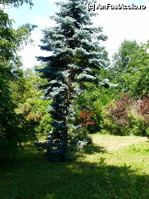 [P08] nu-i asa ca te inseala? ... nu esti la munte in poiana, ci in Gradina Botanica » foto by clau.nov
 - 
<span class="allrVoted glyphicon glyphicon-heart hidden" id="av432129"></span>
<a class="m-l-10 hidden" id="sv432129" onclick="voting_Foto_DelVot(,432129,13735)" role="button">șterge vot <span class="glyphicon glyphicon-remove"></span></a>
<a id="v9432129" class=" c-red"  onclick="voting_Foto_SetVot(432129)" role="button"><span class="glyphicon glyphicon-heart-empty"></span> <b>LIKE</b> = Votează poza</a> <img class="hidden"  id="f432129W9" src="/imagini/loader.gif" border="0" /><span class="AjErrMes hidden" id="e432129ErM"></span>