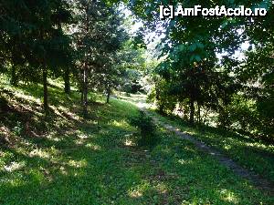 [P09] ... si nici in padure... doar intr-un alt colt al Gradinii » foto by clau.nov
 - 
<span class="allrVoted glyphicon glyphicon-heart hidden" id="av432132"></span>
<a class="m-l-10 hidden" id="sv432132" onclick="voting_Foto_DelVot(,432132,13735)" role="button">șterge vot <span class="glyphicon glyphicon-remove"></span></a>
<a id="v9432132" class=" c-red"  onclick="voting_Foto_SetVot(432132)" role="button"><span class="glyphicon glyphicon-heart-empty"></span> <b>LIKE</b> = Votează poza</a> <img class="hidden"  id="f432132W9" src="/imagini/loader.gif" border="0" /><span class="AjErrMes hidden" id="e432132ErM"></span>