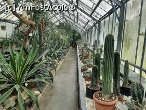 [P12] Prin sera cu plante exotice-Cactuși » foto by Zoazore
 - 
<span class="allrVoted glyphicon glyphicon-heart hidden" id="av1532458"></span>
<a class="m-l-10 hidden" id="sv1532458" onclick="voting_Foto_DelVot(,1532458,13735)" role="button">șterge vot <span class="glyphicon glyphicon-remove"></span></a>
<a id="v91532458" class=" c-red"  onclick="voting_Foto_SetVot(1532458)" role="button"><span class="glyphicon glyphicon-heart-empty"></span> <b>LIKE</b> = Votează poza</a> <img class="hidden"  id="f1532458W9" src="/imagini/loader.gif" border="0" /><span class="AjErrMes hidden" id="e1532458ErM"></span>