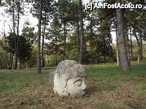 [P25] Iasi - Gradina Botanica » foto by Nicu Teusdea
 - 
<span class="allrVoted glyphicon glyphicon-heart hidden" id="av405842"></span>
<a class="m-l-10 hidden" id="sv405842" onclick="voting_Foto_DelVot(,405842,13735)" role="button">șterge vot <span class="glyphicon glyphicon-remove"></span></a>
<a id="v9405842" class=" c-red"  onclick="voting_Foto_SetVot(405842)" role="button"><span class="glyphicon glyphicon-heart-empty"></span> <b>LIKE</b> = Votează poza</a> <img class="hidden"  id="f405842W9" src="/imagini/loader.gif" border="0" /><span class="AjErrMes hidden" id="e405842ErM"></span>