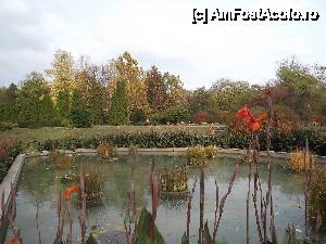[P26] Iasi - Gradina Botanica » foto by Nicu Teusdea
 - 
<span class="allrVoted glyphicon glyphicon-heart hidden" id="av405843"></span>
<a class="m-l-10 hidden" id="sv405843" onclick="voting_Foto_DelVot(,405843,13735)" role="button">șterge vot <span class="glyphicon glyphicon-remove"></span></a>
<a id="v9405843" class=" c-red"  onclick="voting_Foto_SetVot(405843)" role="button"><span class="glyphicon glyphicon-heart-empty"></span> <b>LIKE</b> = Votează poza</a> <img class="hidden"  id="f405843W9" src="/imagini/loader.gif" border="0" /><span class="AjErrMes hidden" id="e405843ErM"></span>