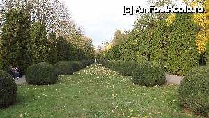[P27] Iasi - Gradina Botanica » foto by Nicu Teusdea
 - 
<span class="allrVoted glyphicon glyphicon-heart hidden" id="av405844"></span>
<a class="m-l-10 hidden" id="sv405844" onclick="voting_Foto_DelVot(,405844,13735)" role="button">șterge vot <span class="glyphicon glyphicon-remove"></span></a>
<a id="v9405844" class=" c-red"  onclick="voting_Foto_SetVot(405844)" role="button"><span class="glyphicon glyphicon-heart-empty"></span> <b>LIKE</b> = Votează poza</a> <img class="hidden"  id="f405844W9" src="/imagini/loader.gif" border="0" /><span class="AjErrMes hidden" id="e405844ErM"></span>