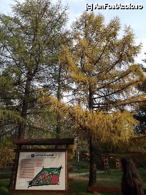 [P28]  -- <small>// FĂRĂ DESCRIERE</small> » foto by Nicu Teusdea
 - 
<span class="allrVoted glyphicon glyphicon-heart hidden" id="av405845"></span>
<a class="m-l-10 hidden" id="sv405845" onclick="voting_Foto_DelVot(,405845,13735)" role="button">șterge vot <span class="glyphicon glyphicon-remove"></span></a>
<a id="v9405845" class=" c-red"  onclick="voting_Foto_SetVot(405845)" role="button"><span class="glyphicon glyphicon-heart-empty"></span> <b>LIKE</b> = Votează poza</a> <img class="hidden"  id="f405845W9" src="/imagini/loader.gif" border="0" /><span class="AjErrMes hidden" id="e405845ErM"></span>