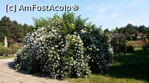 [P28]  -- <small>// FĂRĂ DESCRIERE</small> » foto by lucian1979
 - 
<span class="allrVoted glyphicon glyphicon-heart hidden" id="av737143"></span>
<a class="m-l-10 hidden" id="sv737143" onclick="voting_Foto_DelVot(,737143,13735)" role="button">șterge vot <span class="glyphicon glyphicon-remove"></span></a>
<a id="v9737143" class=" c-red"  onclick="voting_Foto_SetVot(737143)" role="button"><span class="glyphicon glyphicon-heart-empty"></span> <b>LIKE</b> = Votează poza</a> <img class="hidden"  id="f737143W9" src="/imagini/loader.gif" border="0" /><span class="AjErrMes hidden" id="e737143ErM"></span>