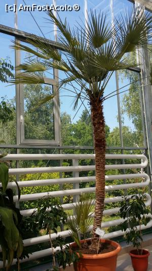 [P29]  -- <small>// FĂRĂ DESCRIERE</small> » foto by lucian1979
 - 
<span class="allrVoted glyphicon glyphicon-heart hidden" id="av737144"></span>
<a class="m-l-10 hidden" id="sv737144" onclick="voting_Foto_DelVot(,737144,13735)" role="button">șterge vot <span class="glyphicon glyphicon-remove"></span></a>
<a id="v9737144" class=" c-red"  onclick="voting_Foto_SetVot(737144)" role="button"><span class="glyphicon glyphicon-heart-empty"></span> <b>LIKE</b> = Votează poza</a> <img class="hidden"  id="f737144W9" src="/imagini/loader.gif" border="0" /><span class="AjErrMes hidden" id="e737144ErM"></span>