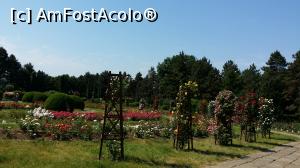 [P31]  -- <small>// FĂRĂ DESCRIERE</small> » foto by lucian1979
 - 
<span class="allrVoted glyphicon glyphicon-heart hidden" id="av737146"></span>
<a class="m-l-10 hidden" id="sv737146" onclick="voting_Foto_DelVot(,737146,13735)" role="button">șterge vot <span class="glyphicon glyphicon-remove"></span></a>
<a id="v9737146" class=" c-red"  onclick="voting_Foto_SetVot(737146)" role="button"><span class="glyphicon glyphicon-heart-empty"></span> <b>LIKE</b> = Votează poza</a> <img class="hidden"  id="f737146W9" src="/imagini/loader.gif" border="0" /><span class="AjErrMes hidden" id="e737146ErM"></span>