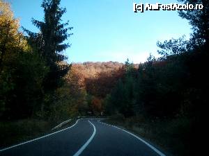 [P13] Drumul spre Poiana Brasov in partea Rasnovului. Perfect intretinut si marcat » foto by Albinoium
 - 
<span class="allrVoted glyphicon glyphicon-heart hidden" id="av689381"></span>
<a class="m-l-10 hidden" id="sv689381" onclick="voting_Foto_DelVot(,689381,13755)" role="button">șterge vot <span class="glyphicon glyphicon-remove"></span></a>
<a id="v9689381" class=" c-red"  onclick="voting_Foto_SetVot(689381)" role="button"><span class="glyphicon glyphicon-heart-empty"></span> <b>LIKE</b> = Votează poza</a> <img class="hidden"  id="f689381W9" src="/imagini/loader.gif" border="0" /><span class="AjErrMes hidden" id="e689381ErM"></span>