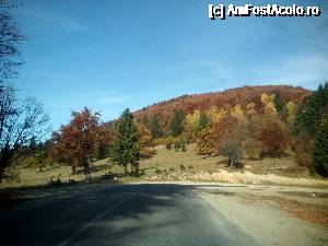 [P14] Drumul spre Poiana Brasov, partea dinspre Poiana. O fi diferenta asa de mare intre primaria Brasov si cea a Rasnovului ca si diferenta intre drumuri?  » foto by Albinoium
 - 
<span class="allrVoted glyphicon glyphicon-heart hidden" id="av689382"></span>
<a class="m-l-10 hidden" id="sv689382" onclick="voting_Foto_DelVot(,689382,13755)" role="button">șterge vot <span class="glyphicon glyphicon-remove"></span></a>
<a id="v9689382" class=" c-red"  onclick="voting_Foto_SetVot(689382)" role="button"><span class="glyphicon glyphicon-heart-empty"></span> <b>LIKE</b> = Votează poza</a> <img class="hidden"  id="f689382W9" src="/imagini/loader.gif" border="0" /><span class="AjErrMes hidden" id="e689382ErM"></span>