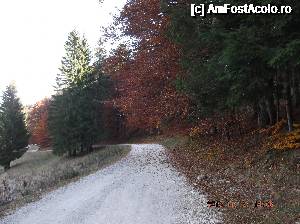 [P05] Drumul de la Trei Brazi spre Poiana Secuilor intr-unul din rarele momente in care nu trec benveiele cu turistii in pantofi ciocati si cola in mana.  » foto by Albinoium
 - 
<span class="allrVoted glyphicon glyphicon-heart hidden" id="av689373"></span>
<a class="m-l-10 hidden" id="sv689373" onclick="voting_Foto_DelVot(,689373,13755)" role="button">șterge vot <span class="glyphicon glyphicon-remove"></span></a>
<a id="v9689373" class=" c-red"  onclick="voting_Foto_SetVot(689373)" role="button"><span class="glyphicon glyphicon-heart-empty"></span> <b>LIKE</b> = Votează poza</a> <img class="hidden"  id="f689373W9" src="/imagini/loader.gif" border="0" /><span class="AjErrMes hidden" id="e689373ErM"></span>