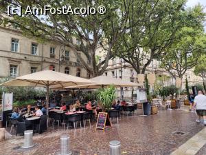 [P30] Avignon; la pas prin orașul vechi » foto by crismis
 - 
<span class="allrVoted glyphicon glyphicon-heart hidden" id="av1526812"></span>
<a class="m-l-10 hidden" id="sv1526812" onclick="voting_Foto_DelVot(,1526812,13769)" role="button">șterge vot <span class="glyphicon glyphicon-remove"></span></a>
<a id="v91526812" class=" c-red"  onclick="voting_Foto_SetVot(1526812)" role="button"><span class="glyphicon glyphicon-heart-empty"></span> <b>LIKE</b> = Votează poza</a> <img class="hidden"  id="f1526812W9" src="/imagini/loader.gif" border="0" /><span class="AjErrMes hidden" id="e1526812ErM"></span>