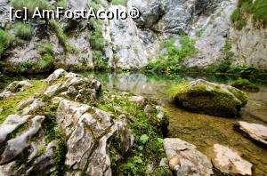 [P02] Izbucul Tăuzului » foto by Remicade
 - 
<span class="allrVoted glyphicon glyphicon-heart hidden" id="av769671"></span>
<a class="m-l-10 hidden" id="sv769671" onclick="voting_Foto_DelVot(,769671,13782)" role="button">șterge vot <span class="glyphicon glyphicon-remove"></span></a>
<a id="v9769671" class=" c-red"  onclick="voting_Foto_SetVot(769671)" role="button"><span class="glyphicon glyphicon-heart-empty"></span> <b>LIKE</b> = Votează poza</a> <img class="hidden"  id="f769671W9" src="/imagini/loader.gif" border="0" /><span class="AjErrMes hidden" id="e769671ErM"></span>