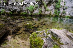 [P04] Izbucul Tăuzului » foto by Remicade
 - 
<span class="allrVoted glyphicon glyphicon-heart hidden" id="av769673"></span>
<a class="m-l-10 hidden" id="sv769673" onclick="voting_Foto_DelVot(,769673,13782)" role="button">șterge vot <span class="glyphicon glyphicon-remove"></span></a>
<a id="v9769673" class=" c-red"  onclick="voting_Foto_SetVot(769673)" role="button"><span class="glyphicon glyphicon-heart-empty"></span> <b>LIKE</b> = Votează poza</a> <img class="hidden"  id="f769673W9" src="/imagini/loader.gif" border="0" /><span class="AjErrMes hidden" id="e769673ErM"></span>