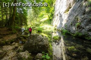 [P08]  -- <small>// FĂRĂ DESCRIERE</small> » foto by Remicade
 - 
<span class="allrVoted glyphicon glyphicon-heart hidden" id="av769677"></span>
<a class="m-l-10 hidden" id="sv769677" onclick="voting_Foto_DelVot(,769677,13782)" role="button">șterge vot <span class="glyphicon glyphicon-remove"></span></a>
<a id="v9769677" class=" c-red"  onclick="voting_Foto_SetVot(769677)" role="button"><span class="glyphicon glyphicon-heart-empty"></span> <b>LIKE</b> = Votează poza</a> <img class="hidden"  id="f769677W9" src="/imagini/loader.gif" border="0" /><span class="AjErrMes hidden" id="e769677ErM"></span>