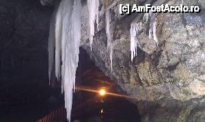[P07] Stalactite aproape de intrarea în peștera Scarișoara. Gârda de Sus, Parcul Național Apuseni.  » foto by traian.leuca †
 - 
<span class="allrVoted glyphicon glyphicon-heart hidden" id="av407413"></span>
<a class="m-l-10 hidden" id="sv407413" onclick="voting_Foto_DelVot(,407413,13782)" role="button">șterge vot <span class="glyphicon glyphicon-remove"></span></a>
<a id="v9407413" class=" c-red"  onclick="voting_Foto_SetVot(407413)" role="button"><span class="glyphicon glyphicon-heart-empty"></span> <b>LIKE</b> = Votează poza</a> <img class="hidden"  id="f407413W9" src="/imagini/loader.gif" border="0" /><span class="AjErrMes hidden" id="e407413ErM"></span>