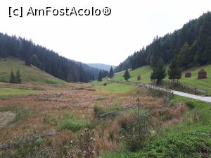 [P06] drumul spre Cheile Ordâncușii, comuna Gârda de Sus, județul Alba, de la Pestera Scarisoara<p> peiaj pitoresc » foto by Dana2008
 - 
<span class="allrVoted glyphicon glyphicon-heart hidden" id="av1041187"></span>
<a class="m-l-10 hidden" id="sv1041187" onclick="voting_Foto_DelVot(,1041187,13782)" role="button">șterge vot <span class="glyphicon glyphicon-remove"></span></a>
<a id="v91041187" class=" c-red"  onclick="voting_Foto_SetVot(1041187)" role="button"><span class="glyphicon glyphicon-heart-empty"></span> <b>LIKE</b> = Votează poza</a> <img class="hidden"  id="f1041187W9" src="/imagini/loader.gif" border="0" /><span class="AjErrMes hidden" id="e1041187ErM"></span>