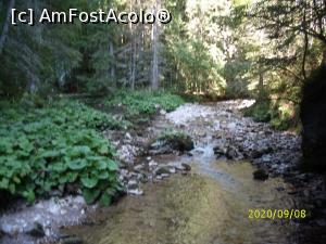 [P05] Drumuri ... » foto by puiutea <span class="label label-default labelC_thin small">NEVOTABILĂ</span>