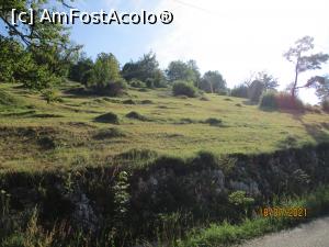 [P25] Pășunile "producătoare" de lapte și brânză ... » foto by puiutea
 - 
<span class="allrVoted glyphicon glyphicon-heart hidden" id="av1243771"></span>
<a class="m-l-10 hidden" id="sv1243771" onclick="voting_Foto_DelVot(,1243771,13782)" role="button">șterge vot <span class="glyphicon glyphicon-remove"></span></a>
<a id="v91243771" class=" c-red"  onclick="voting_Foto_SetVot(1243771)" role="button"><span class="glyphicon glyphicon-heart-empty"></span> <b>LIKE</b> = Votează poza</a> <img class="hidden"  id="f1243771W9" src="/imagini/loader.gif" border="0" /><span class="AjErrMes hidden" id="e1243771ErM"></span>