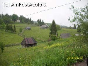 [P10] Case și 'odăi' pentru animale » foto by puiutea
 - 
<span class="allrVoted glyphicon glyphicon-heart hidden" id="av751916"></span>
<a class="m-l-10 hidden" id="sv751916" onclick="voting_Foto_DelVot(,751916,13782)" role="button">șterge vot <span class="glyphicon glyphicon-remove"></span></a>
<a id="v9751916" class=" c-red"  onclick="voting_Foto_SetVot(751916)" role="button"><span class="glyphicon glyphicon-heart-empty"></span> <b>LIKE</b> = Votează poza</a> <img class="hidden"  id="f751916W9" src="/imagini/loader.gif" border="0" /><span class="AjErrMes hidden" id="e751916ErM"></span>