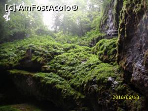 [P21] De jos în sus!  » foto by puiutea
 - 
<span class="allrVoted glyphicon glyphicon-heart hidden" id="av751927"></span>
<a class="m-l-10 hidden" id="sv751927" onclick="voting_Foto_DelVot(,751927,13782)" role="button">șterge vot <span class="glyphicon glyphicon-remove"></span></a>
<a id="v9751927" class=" c-red"  onclick="voting_Foto_SetVot(751927)" role="button"><span class="glyphicon glyphicon-heart-empty"></span> <b>LIKE</b> = Votează poza</a> <img class="hidden"  id="f751927W9" src="/imagini/loader.gif" border="0" /><span class="AjErrMes hidden" id="e751927ErM"></span>