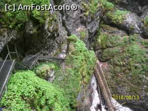 [P27] Scara din fier și cea din lemn din ultima parte a coborârii » foto by puiutea
 - 
<span class="allrVoted glyphicon glyphicon-heart hidden" id="av751933"></span>
<a class="m-l-10 hidden" id="sv751933" onclick="voting_Foto_DelVot(,751933,13782)" role="button">șterge vot <span class="glyphicon glyphicon-remove"></span></a>
<a id="v9751933" class=" c-red"  onclick="voting_Foto_SetVot(751933)" role="button"><span class="glyphicon glyphicon-heart-empty"></span> <b>LIKE</b> = Votează poza</a> <img class="hidden"  id="f751933W9" src="/imagini/loader.gif" border="0" /><span class="AjErrMes hidden" id="e751933ErM"></span>